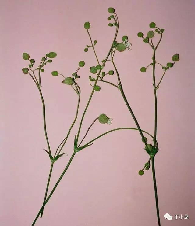 断舍离你认为你最该扔掉的东西,断舍离后你的东西变少了吗