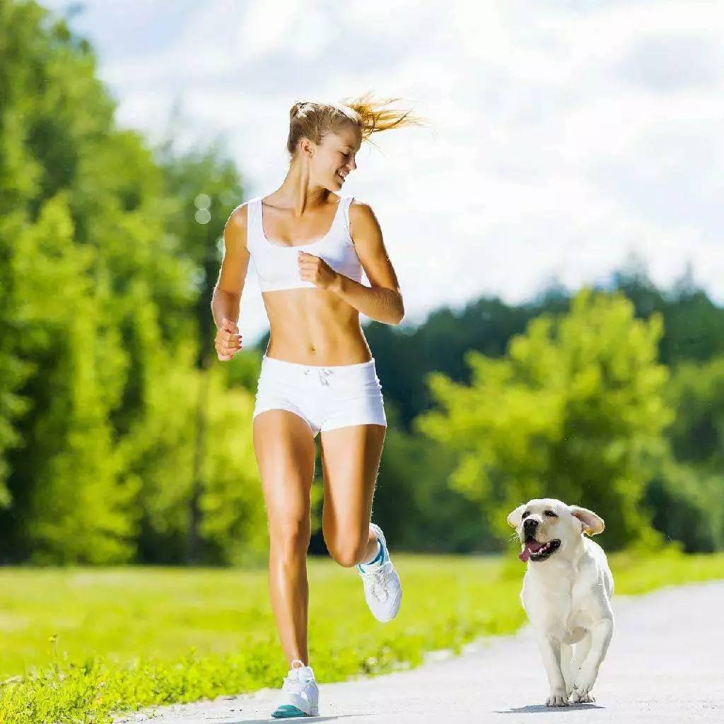 笔架山有哪些野果,笔架山桑葚