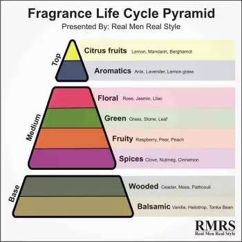 职场30-40岁女人香水排名,中年男性职场适合什么入门香水
