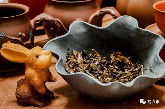 武夷岩茶是什么品质,武夷岩茶品种的特征