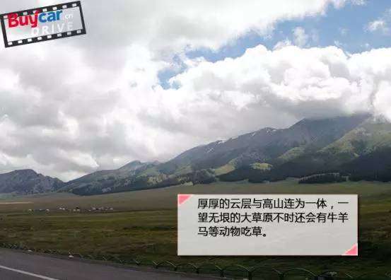 远征版途锐,远征致敬