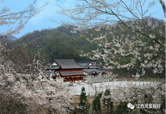 江西省奉新县旅游景点介绍视频,江西省奉新县旅游景点有哪些