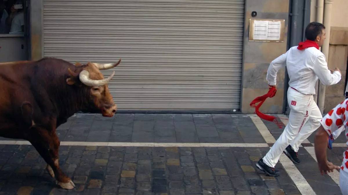 奔牛节牛牛是如何上位的？能上斗牛场成为星牛的三大星相特征！