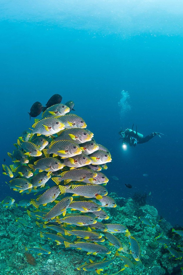 千万不要把潜水人像拍成糖水片