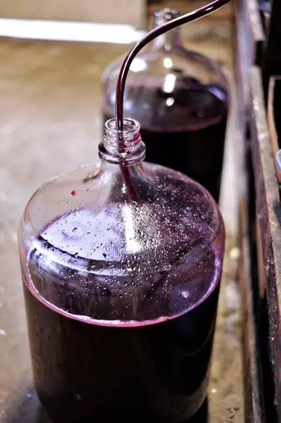 怎么吃葡萄不吐葡萄皮呢,如何吃葡萄不吐葡萄皮