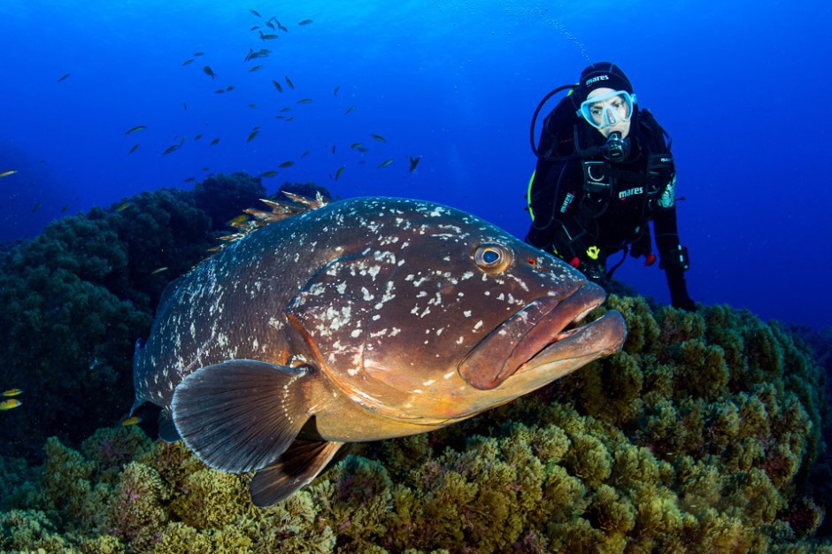 千万不要把潜水人像拍成糖水片