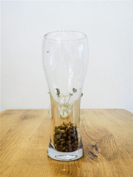 经典老字号糖水店,福利买1送1