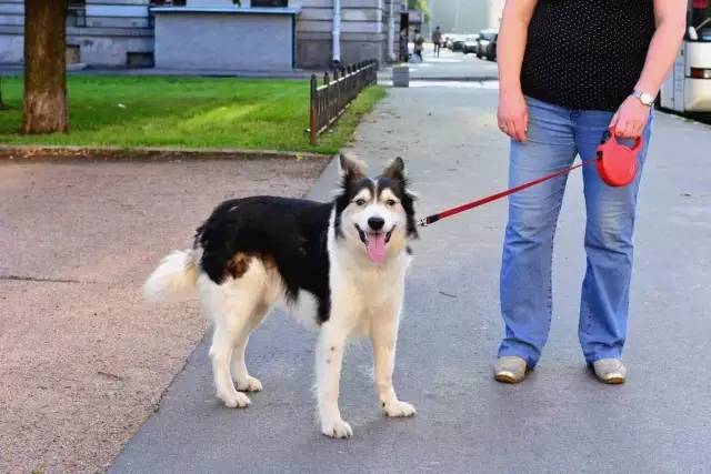 星巴克代购平台哪个好,中国星巴克平台