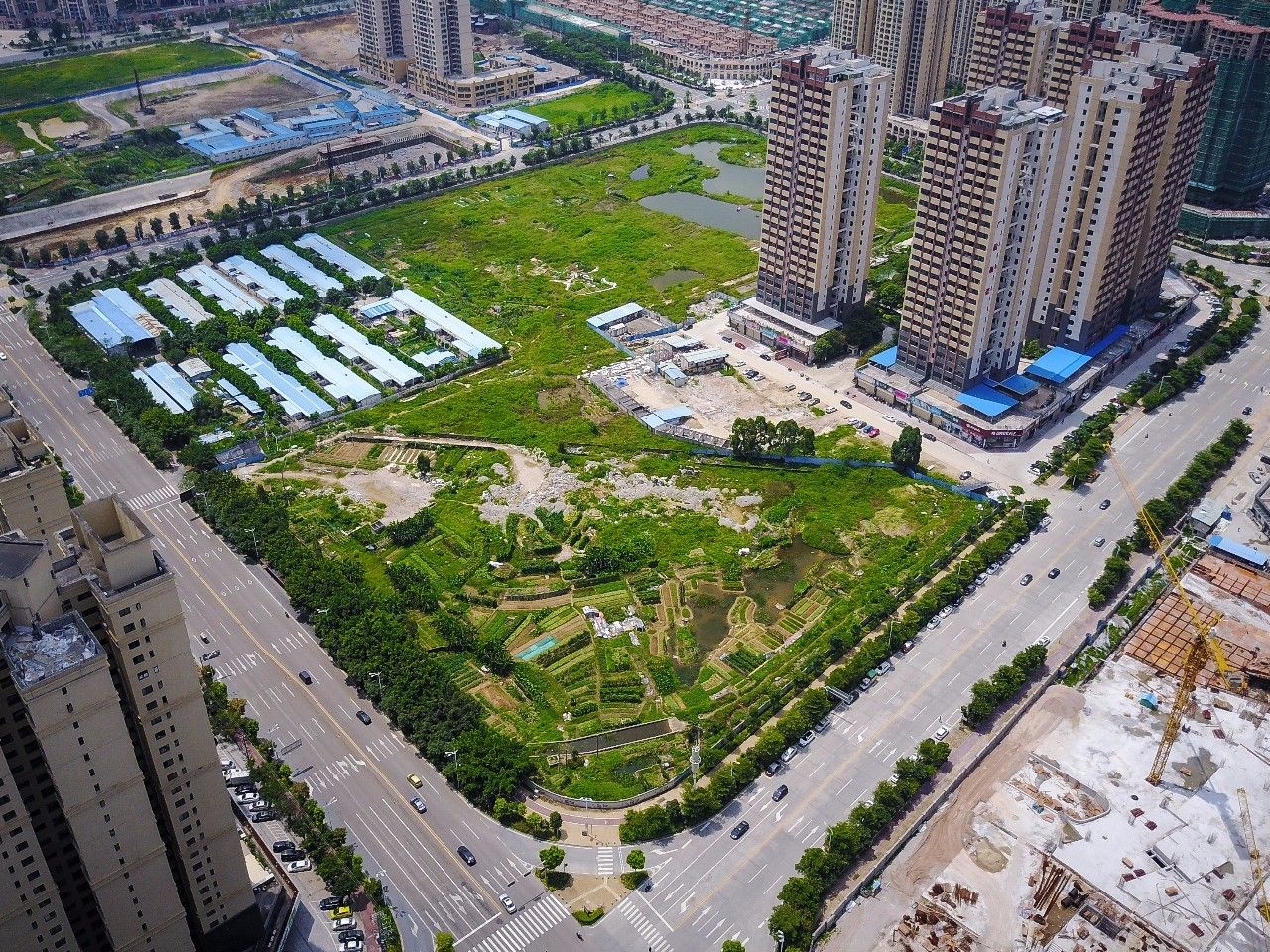 东城2023学位划分,怎么判断片区学位的紧缺程度