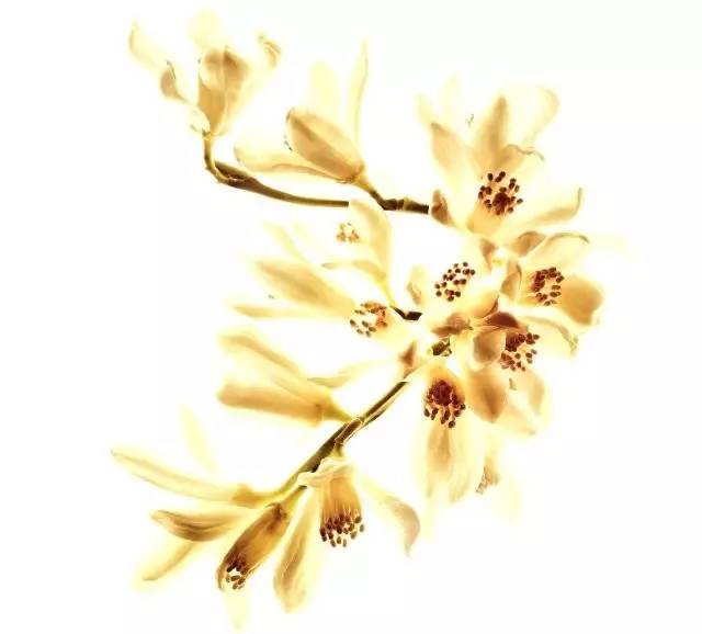 OK!FASHION|用视觉和嗅觉跟Chanel漫步巴黎