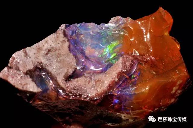 欧泊失去光彩了什么样,欧泊家族