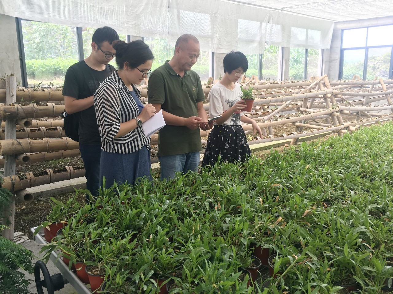 富阳的绿色发展政策,富阳新政持续发力