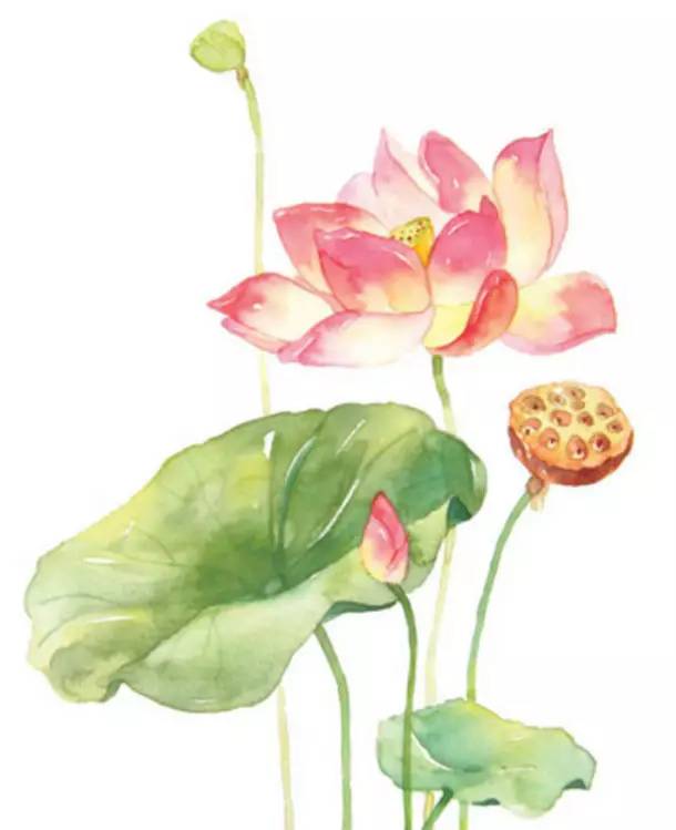 邛崃市2019年优秀教师,2017邛崃优秀青年教师