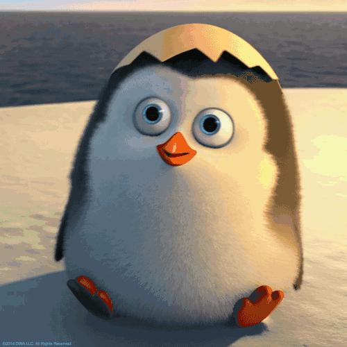 学会分辨肤质和肌肤问题,解惑解疑