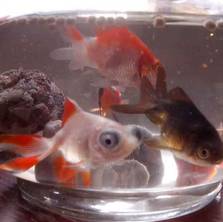 故事丨宝宝出生的那一天,我经历了什么?