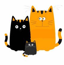 故事丨宝宝出生的那一天,我经历了什么?