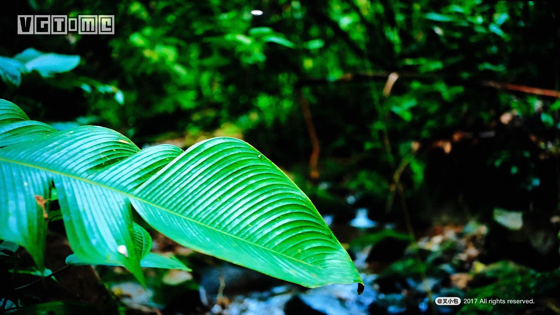 索尼最新75寸4k电视测评,索尼电视85寸电视系列深度评测