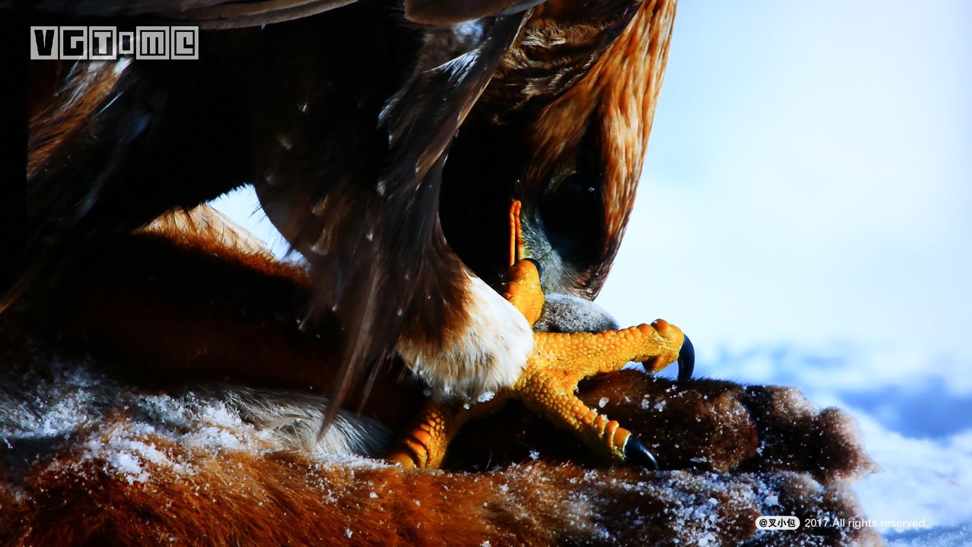 索尼最新75寸4k电视测评,索尼电视85寸电视系列深度评测