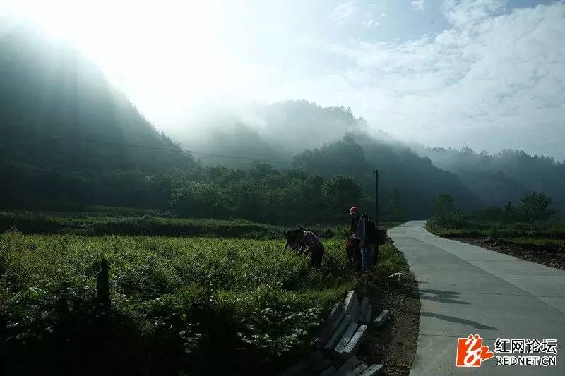 传说中的世外桃源:走进千年土家长寿村