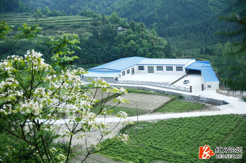 传说中的世外桃源：走进千年土家长寿村