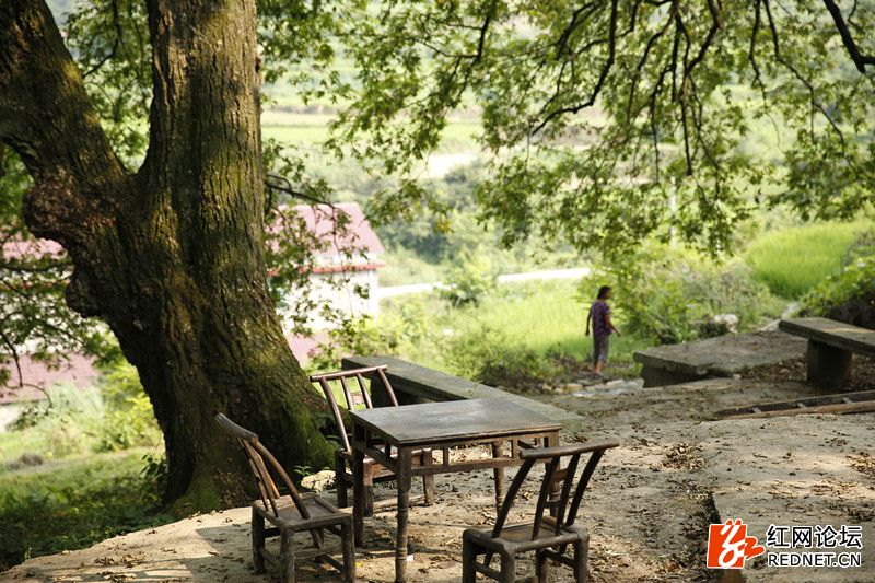 传说中的世外桃源:走进千年土家长寿村