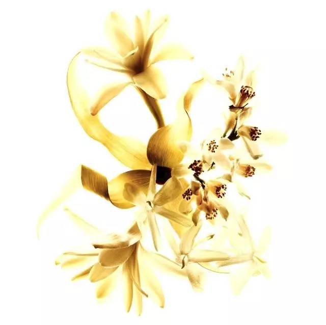 OK!FASHION|用视觉和嗅觉跟Chanel漫步巴黎