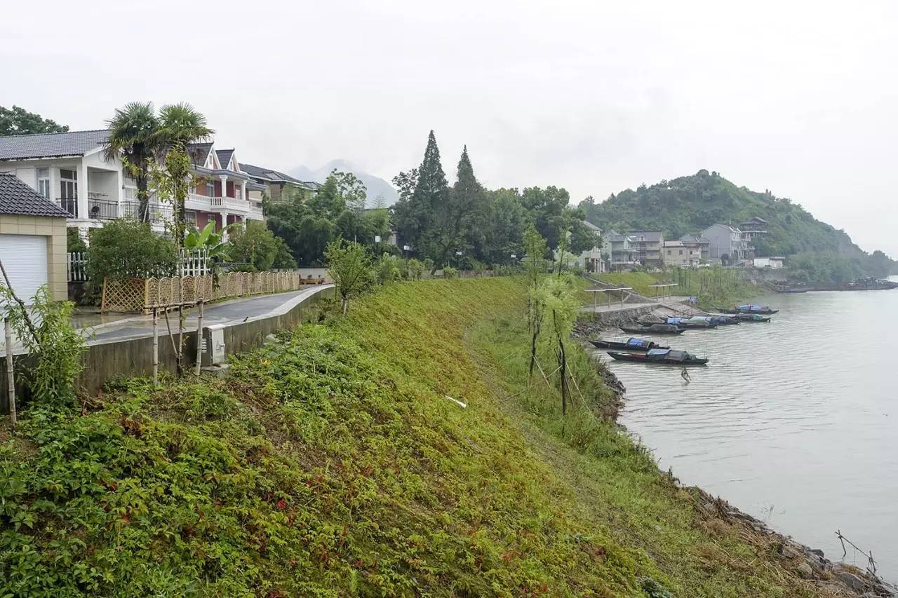 富阳的绿色发展政策,富阳新政持续发力