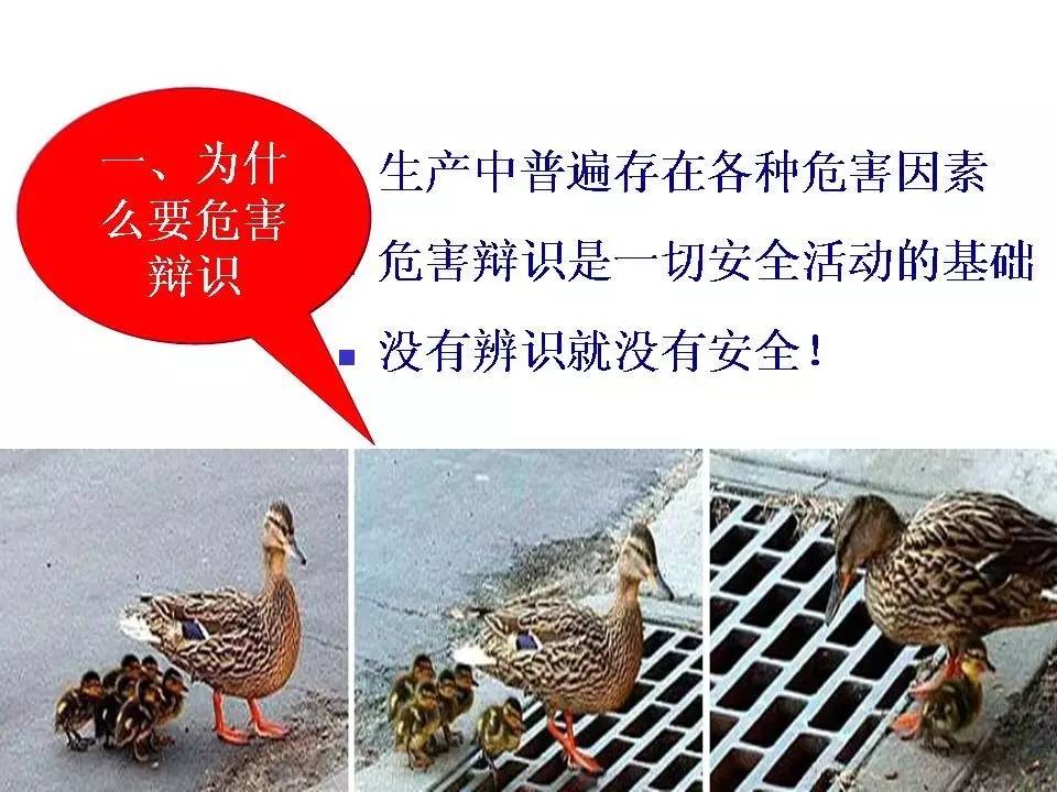 安全隐患ppt,内部控制与风险管理ppt