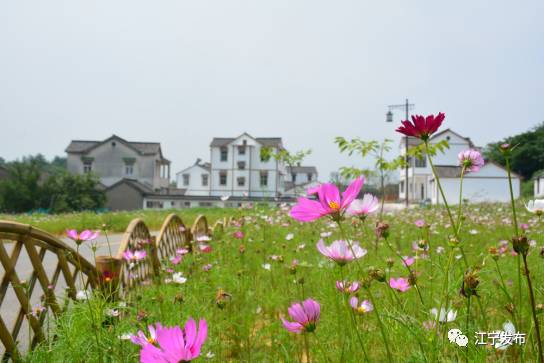 大走访,大走访大调研