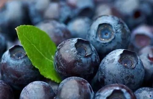 哈尔滨旅游带什么特产给朋友,来哈尔滨带回去什么礼物比较好