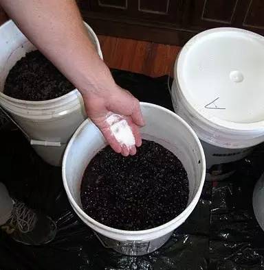 怎么吃葡萄不吐葡萄皮呢,如何吃葡萄不吐葡萄皮