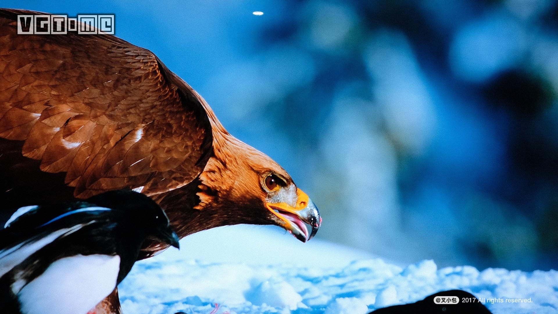 索尼最新75寸4k电视测评,索尼电视85寸电视系列深度评测