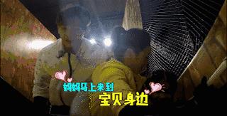 疯狂的麦咭长江黄河,疯狂的麦咭第五季苏青