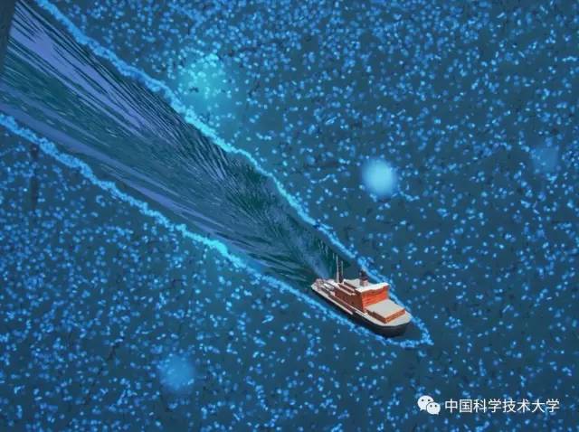 微观星球显微镜下的奇妙世界,显微镜下的奇妙世界视频