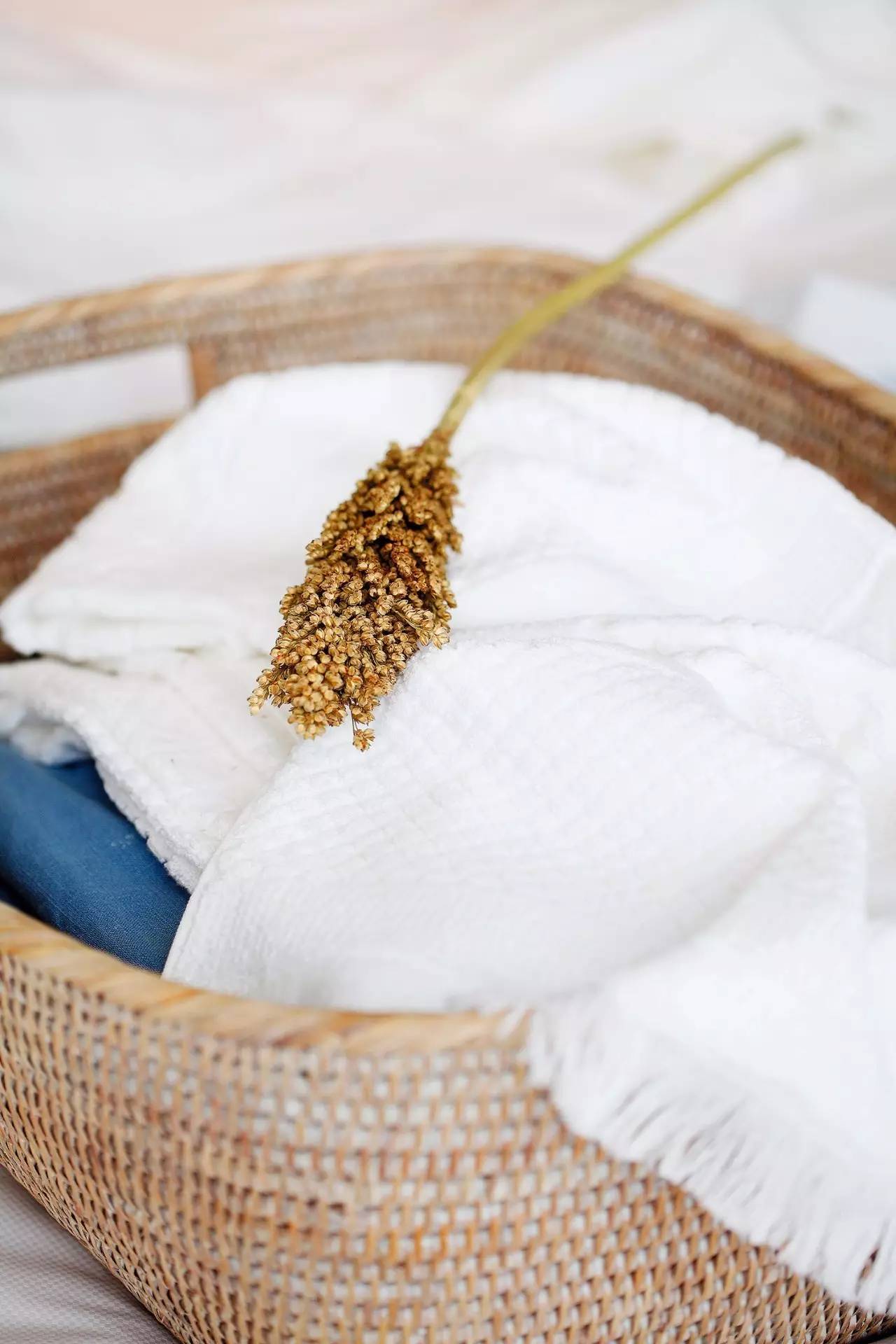 永续护衣:自有米饭柠檬牛奶来对付污渍油渍口红渍