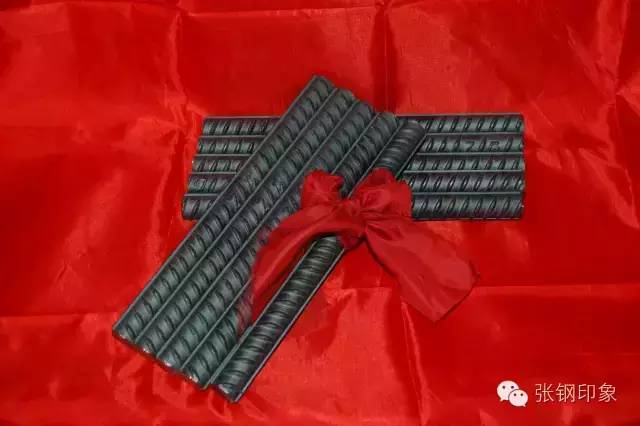 张钢张铁,张钢真实照片大全