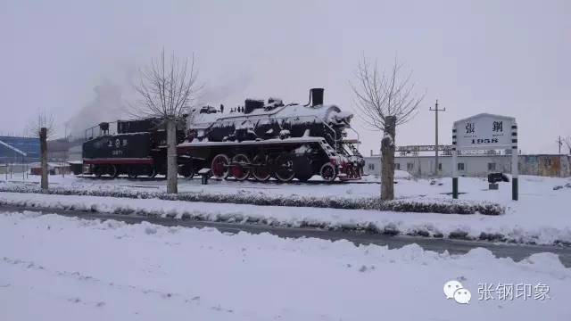 张钢张铁,张钢真实照片大全