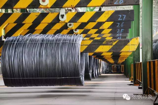 张钢张铁,张钢真实照片大全