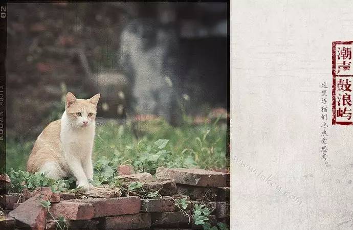 鼓浪屿申遗过程,鼓浪屿申遗40年成功了吗