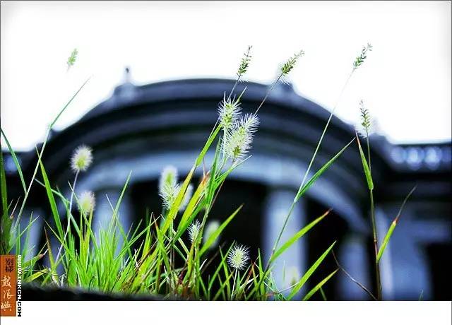 鼓浪屿申遗过程,鼓浪屿申遗40年成功了吗