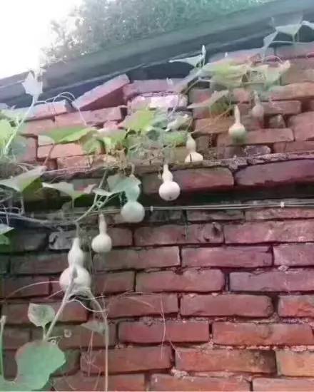 问问大家啊，如果对象要你一周内从世界8个国家给买礼物来证明你的爱，你……