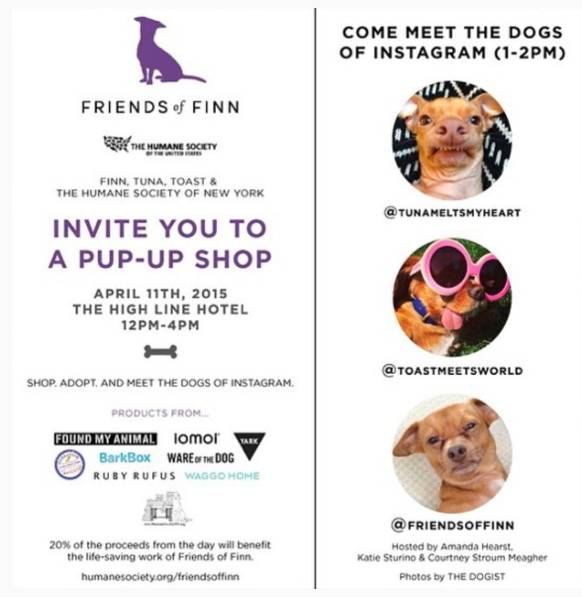 我没牙，我腿短，但我很红！