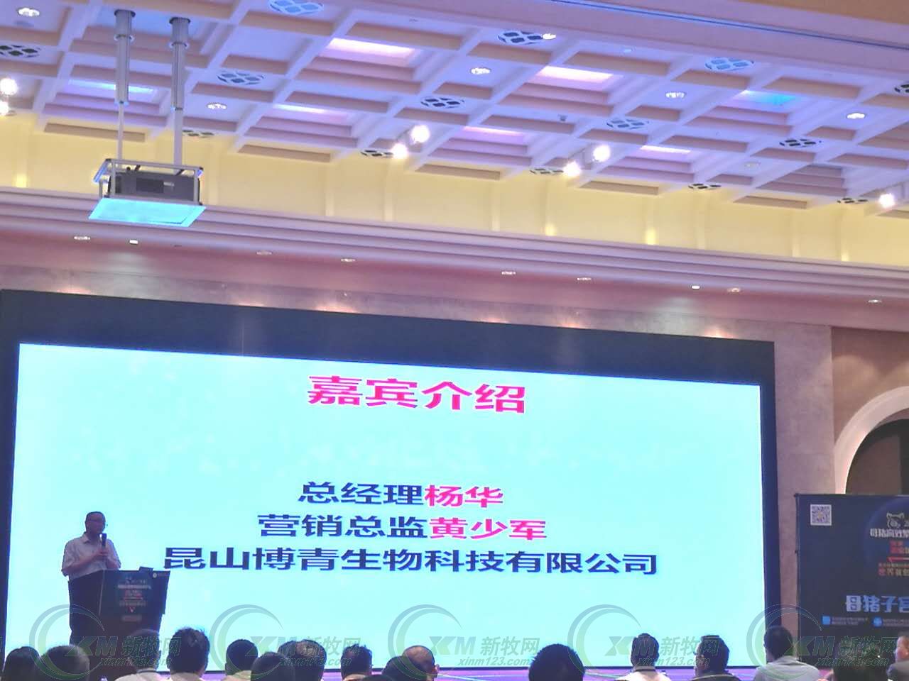 母猪产后消炎用头孢加林可霉素,母猪产后青链霉素