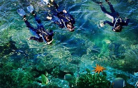 佛山梦幻小岛在哪,佛山南海梦幻岛