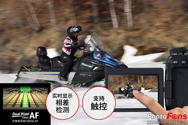 飞入寻常百姓家阅读理解,飞入寻常百姓家介绍