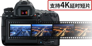 飞入寻常百姓家阅读理解,飞入寻常百姓家介绍