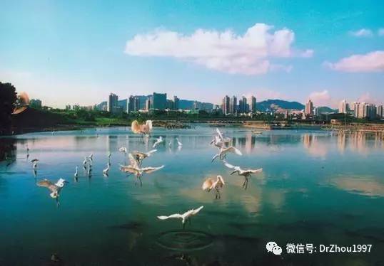 皮肤屏障功能受损后综合症