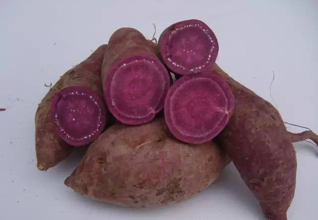 对眼睛干涩有好处的食物,缓解眼疲劳改善视力多吃7种水果