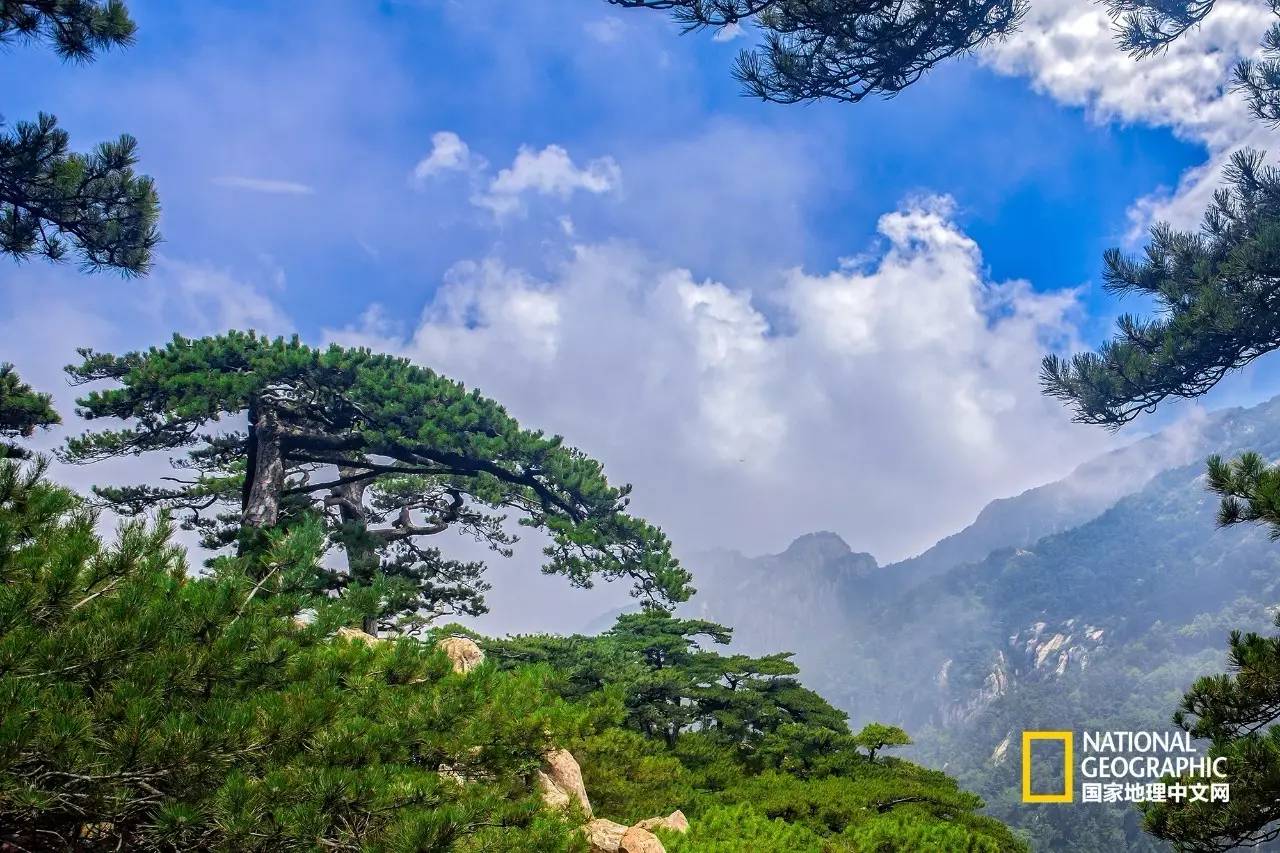 在家里免费蒸桑拿,泰山夏季避暑攻略