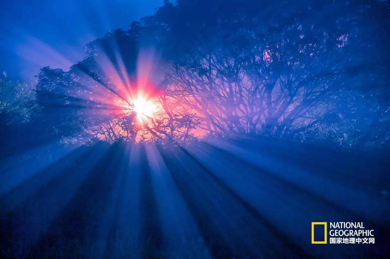 在家里免费蒸桑拿,泰山夏季避暑攻略